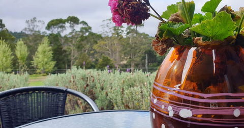 Lockleigh Park - Darwin Holiday 22