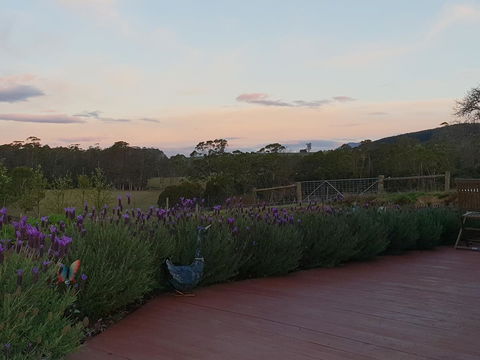 Lockleigh Park - Darwin Holiday 23