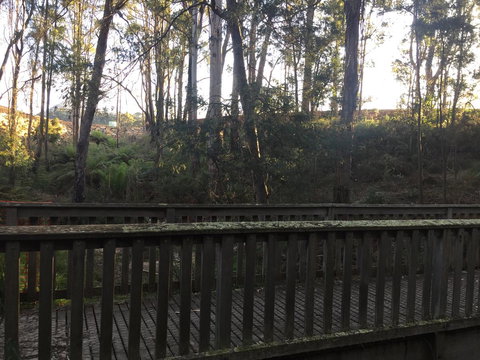 Harlea - Darwin Holiday 13