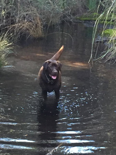 Harlea - Darwin Holiday 27