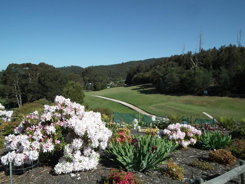 Harlea - Darwin Holiday 16