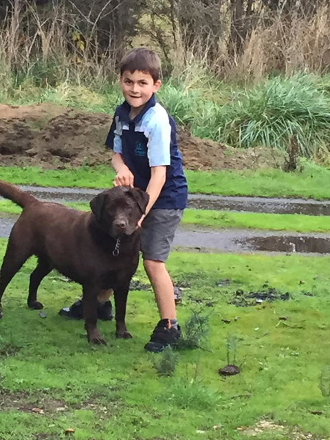 Harlea - Darwin Holiday 24