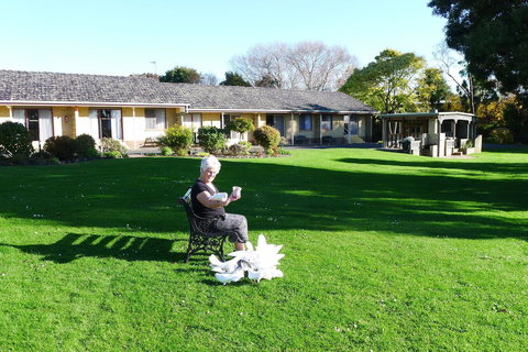 Willaway Motel Apartments - Darwin Holiday 10