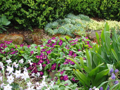 Topiary Haven - Darwin Holiday 27
