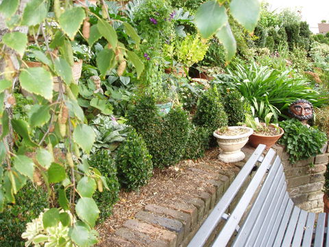 Topiary Haven - Darwin Holiday 25