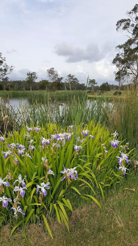 Hazelcreek Cottages - Darwin Holiday 1