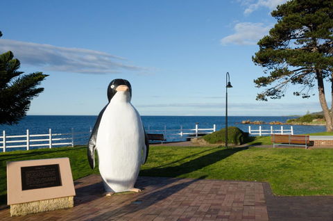 Penguin Beach House - Darwin Holiday 16