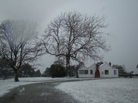 Buttons Cottage For Canyon & Rain Forest Walks With In House Dining - Darwin Holiday 11