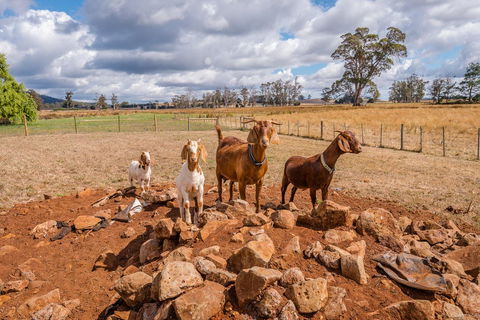 Glencoe Country Bed And Breakfast - Darwin Holiday 36