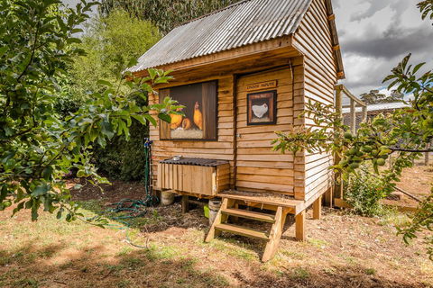 Glencoe Country Bed And Breakfast - Darwin Holiday 34