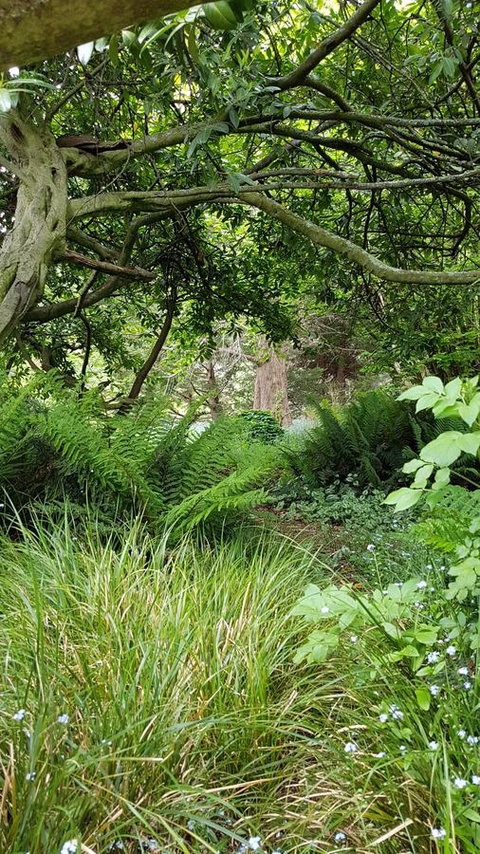 Whispering Hills Retreat - Darwin Holiday 15