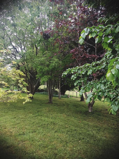 Whispering Hills Retreat - Darwin Holiday 14