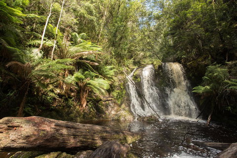 Strahan Village - Darwin Holiday 27