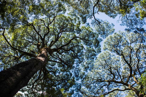 Strahan Village - Darwin Holiday 26