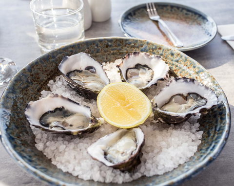 Eastcoaster Tasmania - Darwin Holiday 6