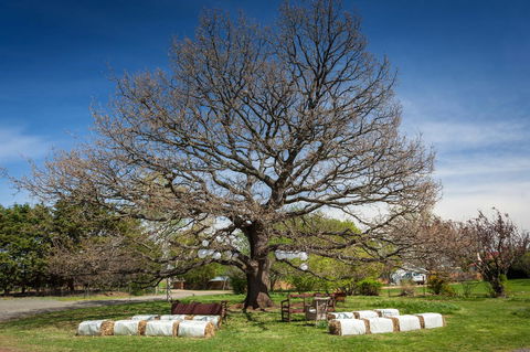 Ratho Farm - Darwin Holiday 8