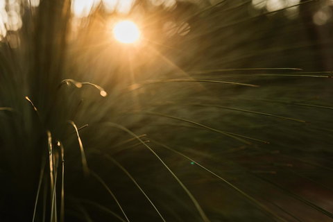 Bay Of Fires Bush Retreat - Darwin Holiday 26