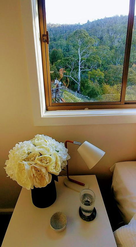 The View 2 Bed Unit With Stunning Hobart Outlook - Darwin Holiday 6