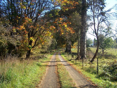 Drumreagh Cabins - Darwin Holiday 6