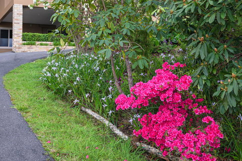 Maria Views Bed & Breakfast - Darwin Holiday 2