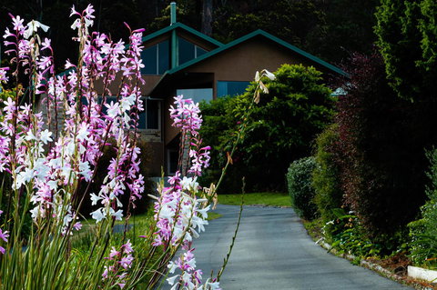 Maria Views Bed & Breakfast - Darwin Holiday 6