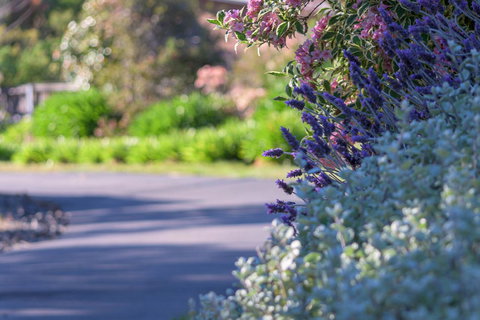 Maria Views Bed & Breakfast - Darwin Holiday 3