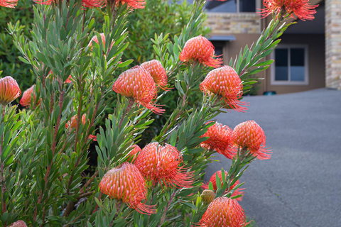 Maria Views Bed & Breakfast - Darwin Holiday 1