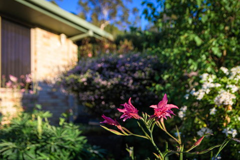 Maria Views Bed & Breakfast - Darwin Holiday 4