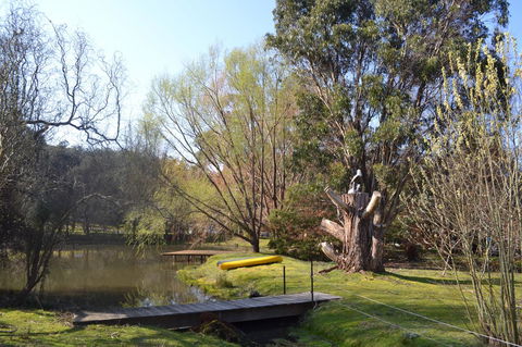 Whispering Spirit Holiday Cottages & Mini Ponies - Darwin Holiday 12