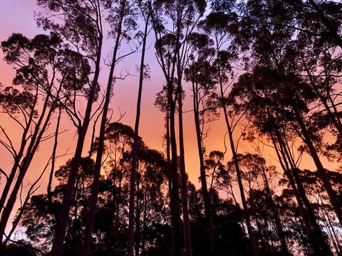 Lemonthyme Wilderness Retreat - Darwin Holiday 8