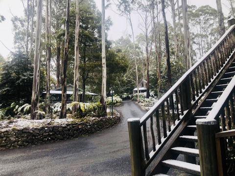 Lemonthyme Wilderness Retreat - Darwin Holiday 15