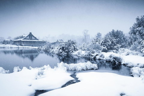 Peppers Cradle Mountain Lodge - Darwin Holiday 24