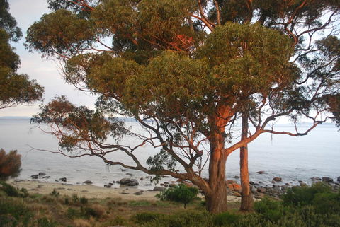 Beachside Taroona With Spa - Darwin Holiday 18