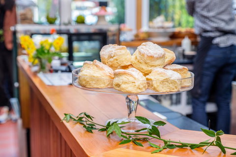 Cygnet Old Bank - Darwin Holiday 17