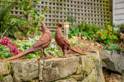 Cygnet Old Bank - Darwin Holiday 27