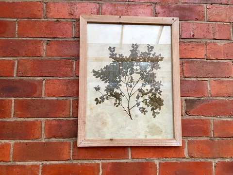 Cygnet Old Bank - Darwin Holiday 44