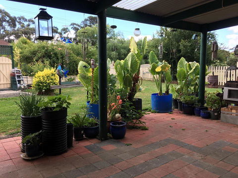 Blue Wren Bungalow - Darwin Holiday 0