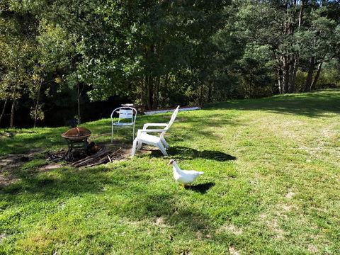 Wanderlust Cottage - Darwin Holiday 18