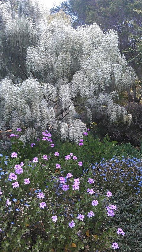 Beezneez B&B - Darwin Holiday 15