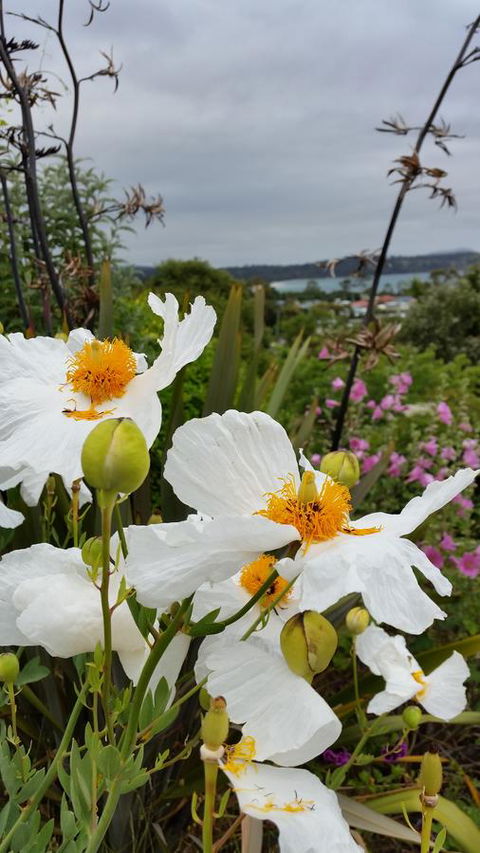 Beezneez B&B - Darwin Holiday 13