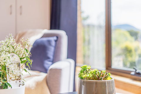 Vintage Cuddle Guest House - Darwin Holiday 2