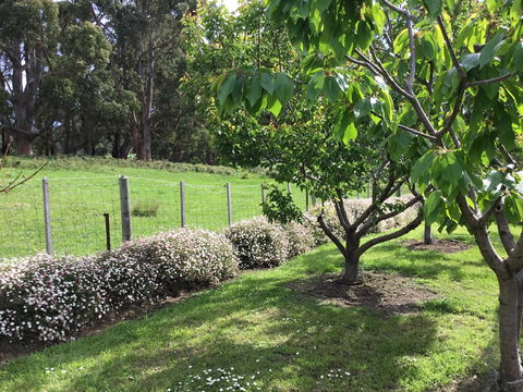 Nextdoor@portarthur - Darwin Holiday 18