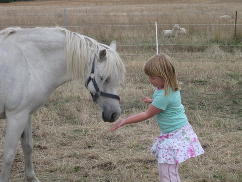 Taras Richmond Farmstay - Darwin Holiday 19