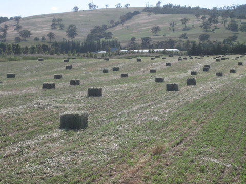 Taras Richmond Farmstay - Darwin Holiday 18