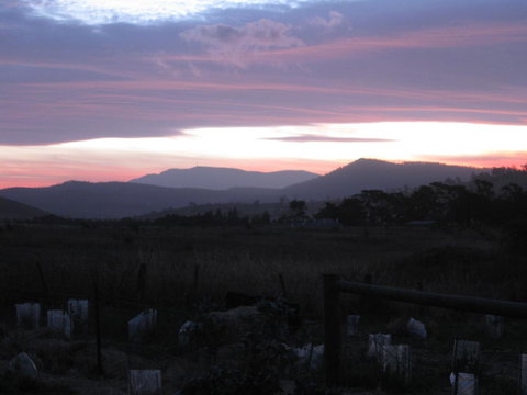Taras Richmond Farmstay - Darwin Holiday 22
