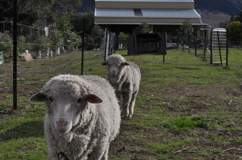 Taras Richmond Farmstay - Darwin Holiday 14