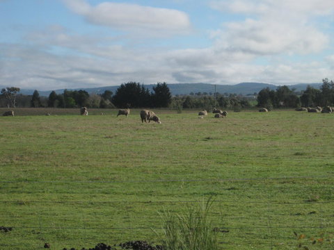 Taras Richmond Farmstay - Darwin Holiday 13