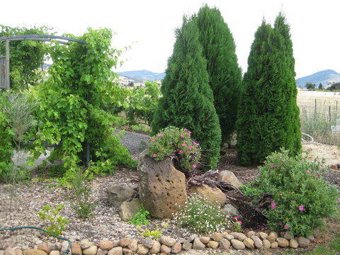 Taras Richmond Farmstay - Darwin Holiday 23