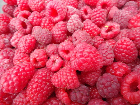 Taras Richmond Farmstay - Darwin Holiday 15