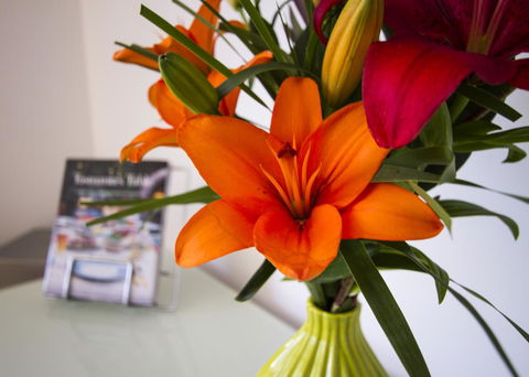 Bellerive Marina View Apartments No 28 - Darwin Holiday 17